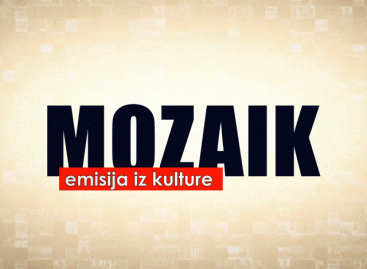 RTV 7 emisija “Mozaik”: Aktivnosti Centra protiv krijumčarenja umjetninama